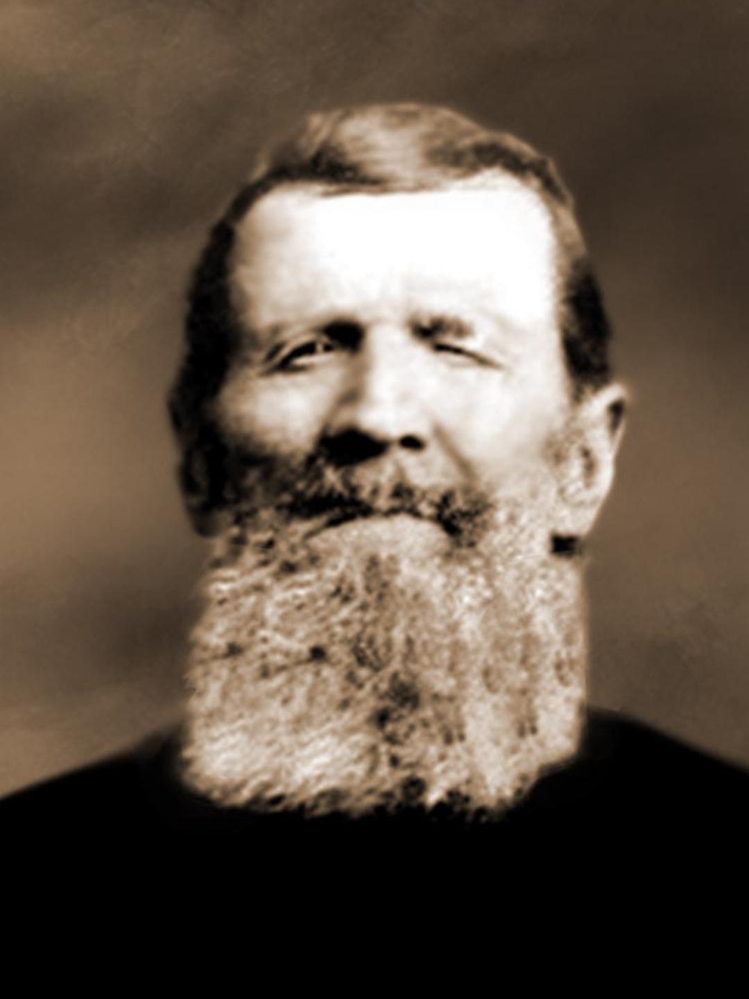 David Cook (1828 - 1911) Profile